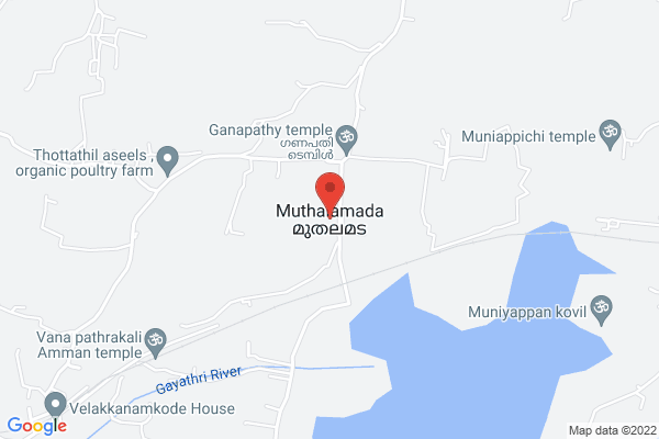 Palakkad muthalamada 45 acre coconut, mango ,nellyand cocoa plantatio location  Muthalamada, Kerala 678507, India