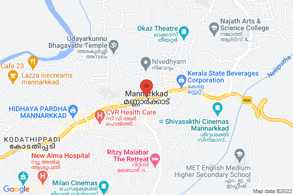 OMNI 2017 MODEL location  Mannarkkad Palakkad KL