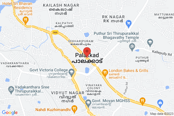 SUZUKI ACCESS 2021 location  Palakkad Palakkad KL