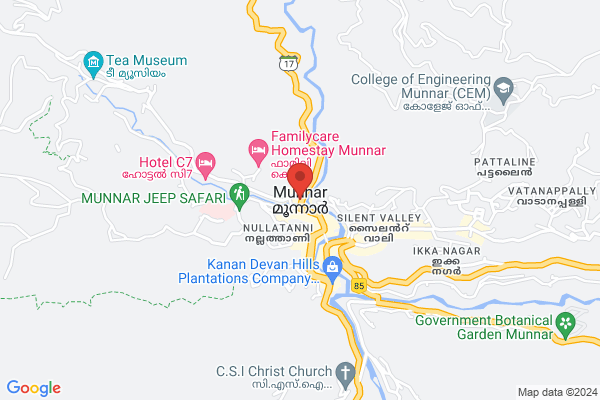 The experience of life immeasurable location  Munnar, Kerala 685612, India