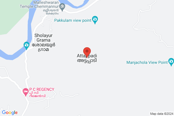 Ayurveda hair oil location  Attappadi, Kerala, India