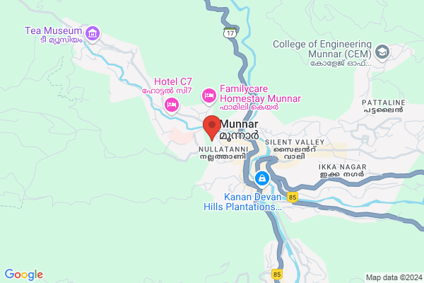 R152M NZJR  TREE HOUSE location  Nullatanni Munnar Idukki