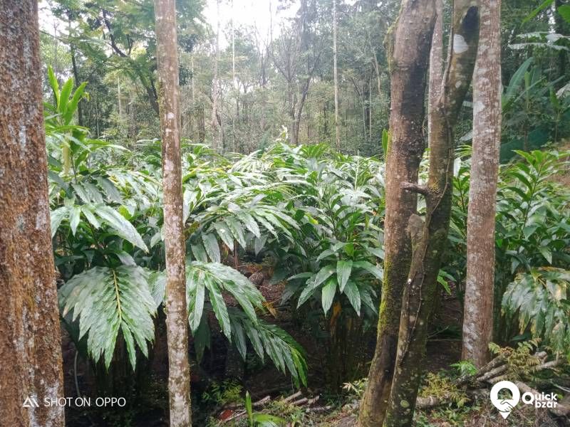 Agriculture land for sale