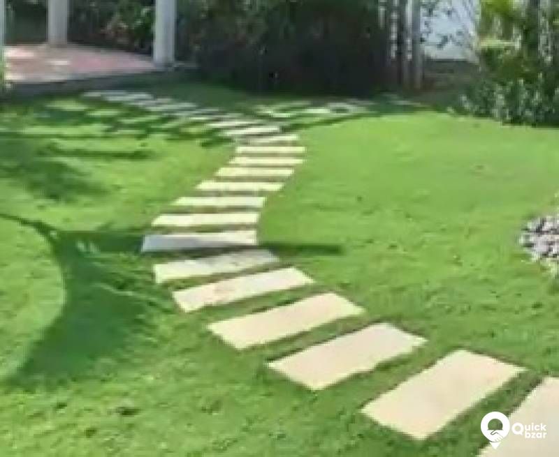 garden work: grass settings Korean grass,Mexican grass, pearl grass