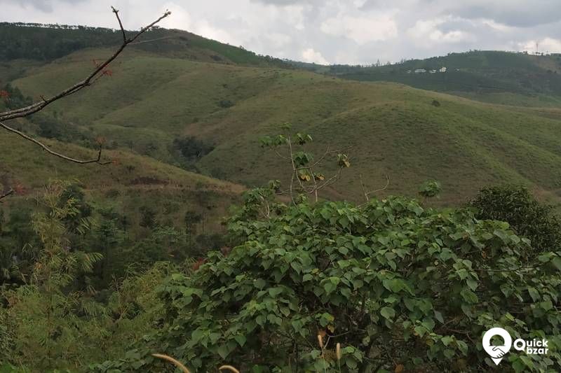 Land for sale in Vagamon