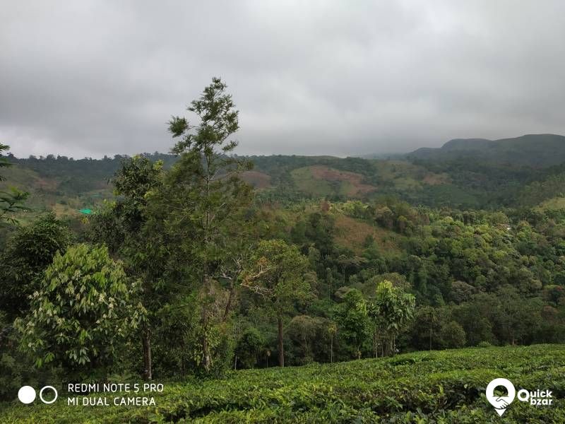 61 cent land for sale in vagamon, Kerala