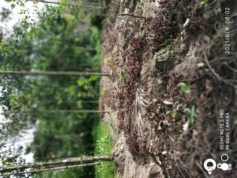 home agricultural. fam etc(8606504893)