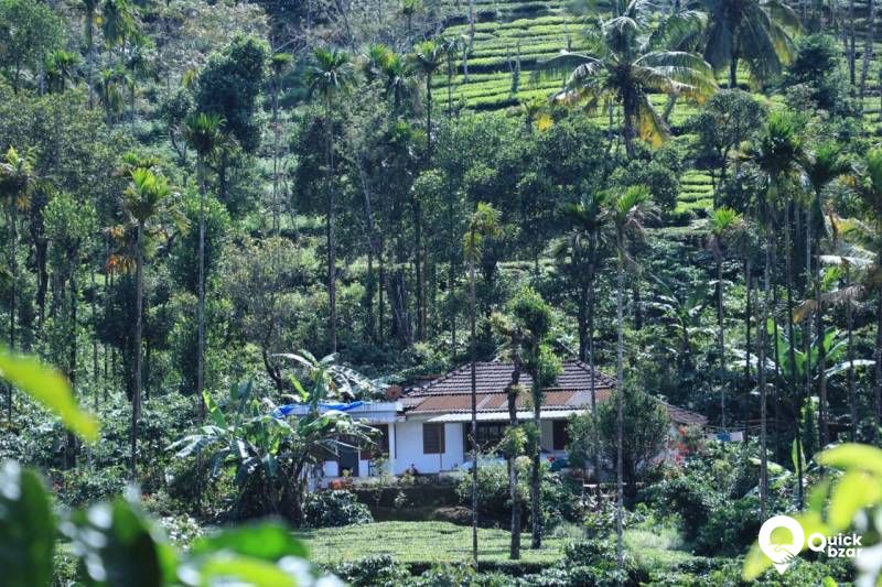House and land for sale