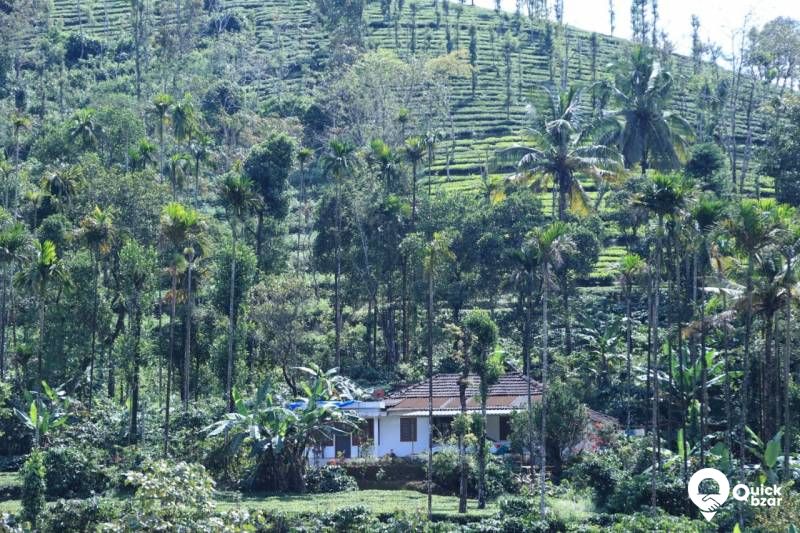 House and land for sale