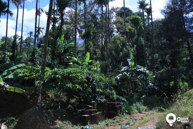 House and land for sale