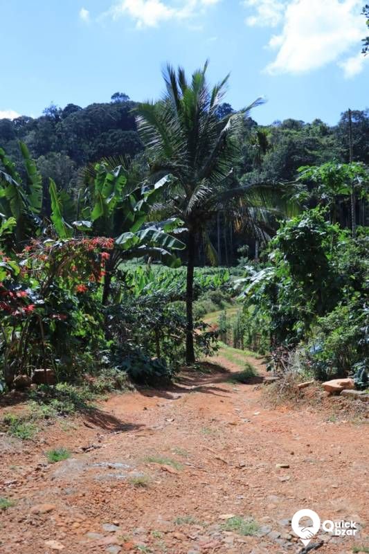 House and land for sale