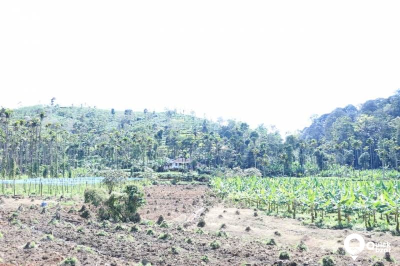 House and land for sale