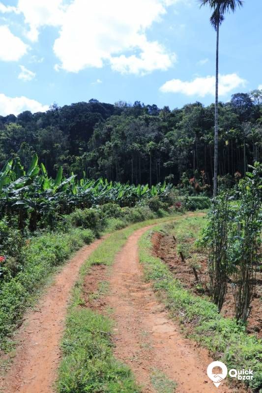 House and land for sale
