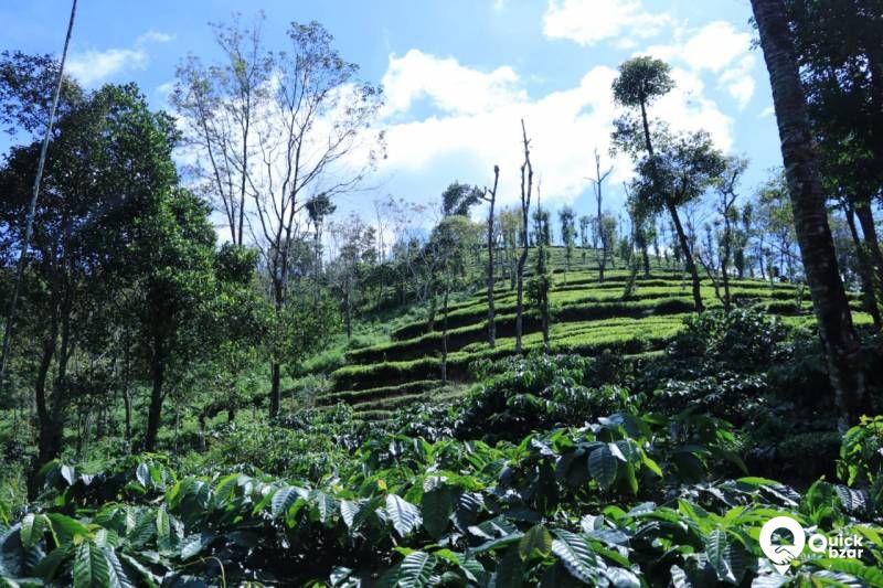 House and land for sale