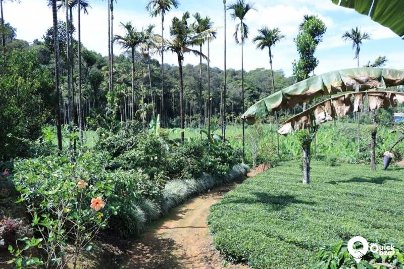 House and land for sale
