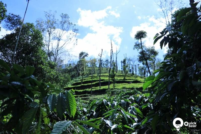 House and land for sale