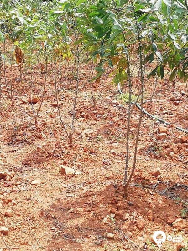 Plot for sale ettumanoor