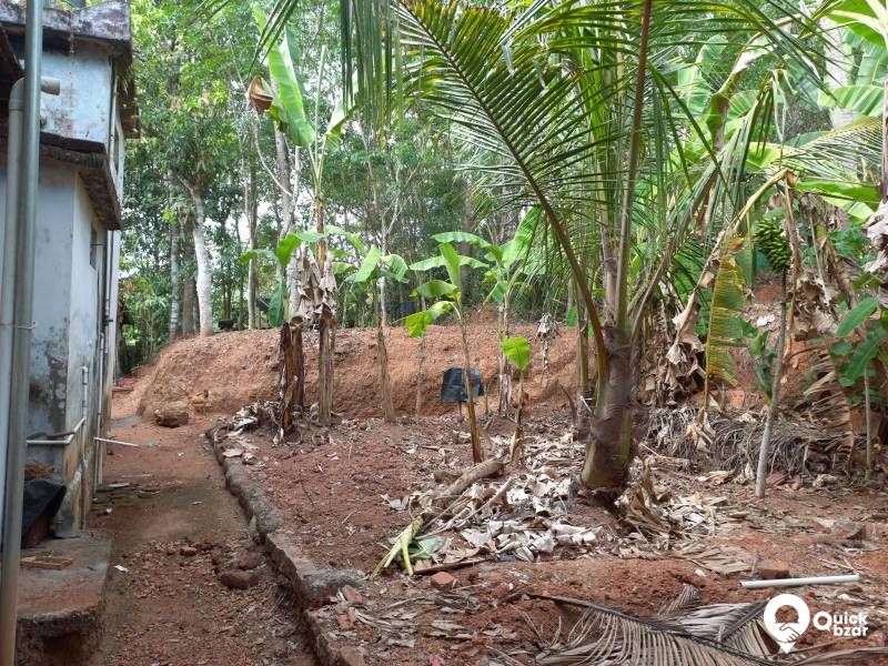 35cent plot whit a medium quality house for Sale
