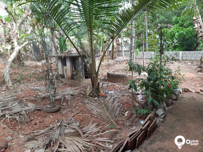 35cent plot whit a medium quality house for Sale