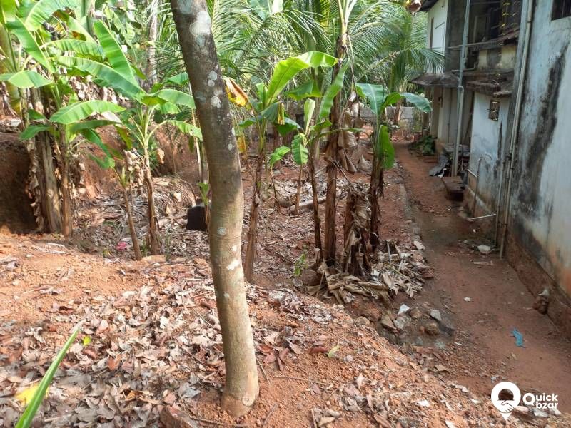 35cent plot whit a medium quality house for Sale
