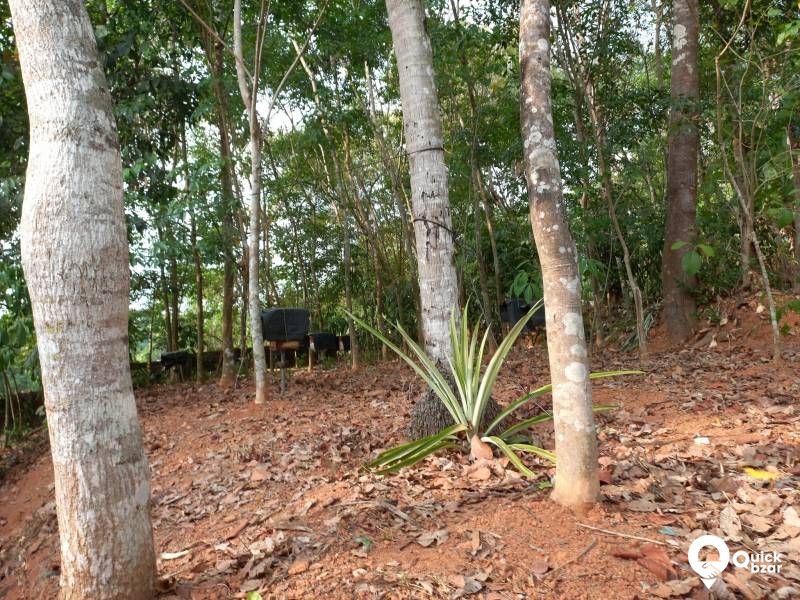35cent plot whit a medium quality house for Sale