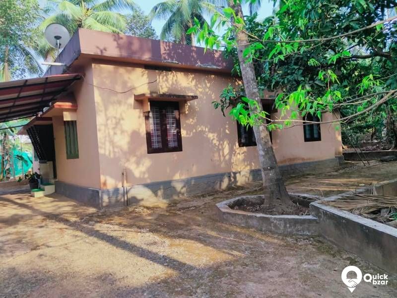 House and plot for sale