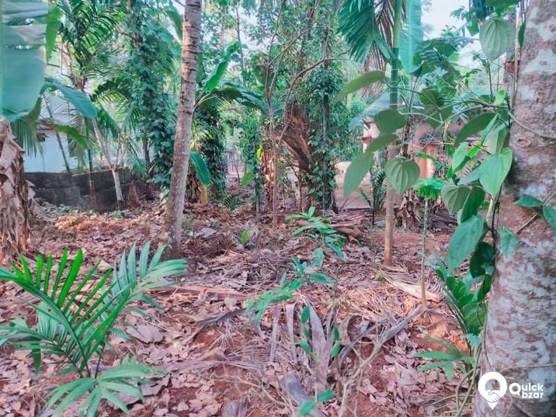 House and plot for sale