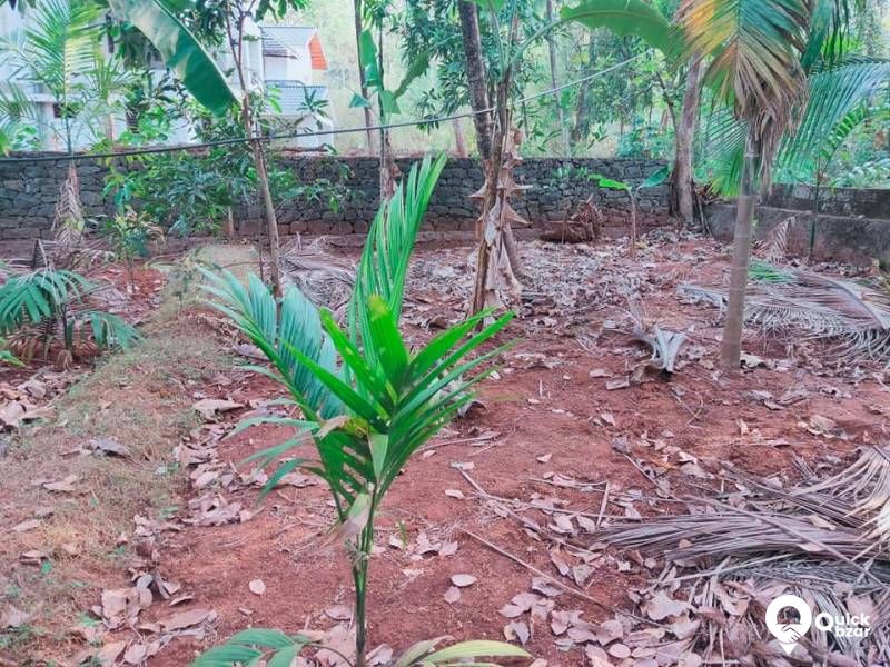 House and plot for sale