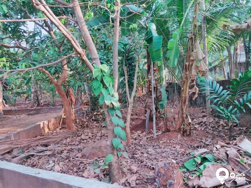 House and plot for sale