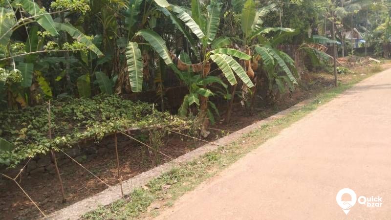 Plot for sale Koyilandy