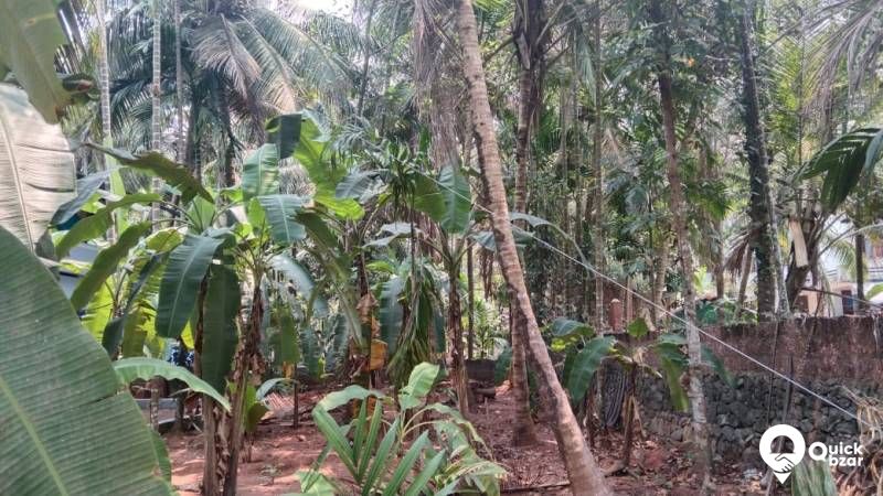 Plot for sale Koyilandy