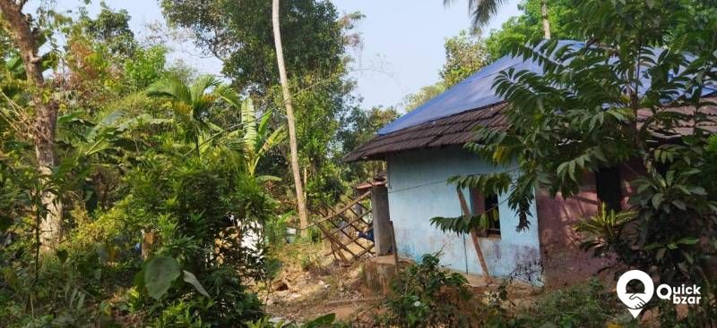 8 സെന്റ് സ്ഥലം വില്പനക്ക്