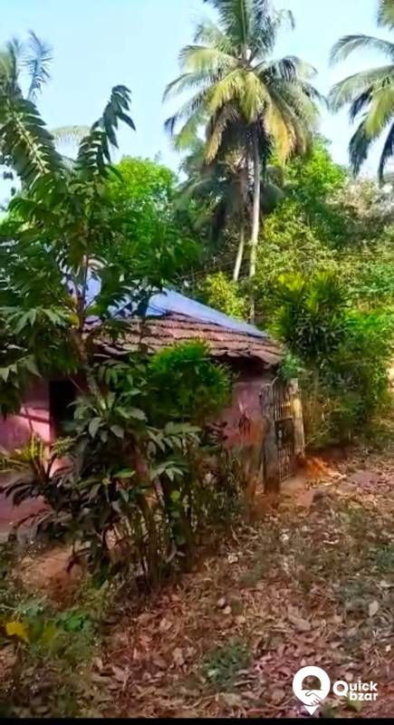 8 സെന്റ് സ്ഥലം വില്പനക്ക്