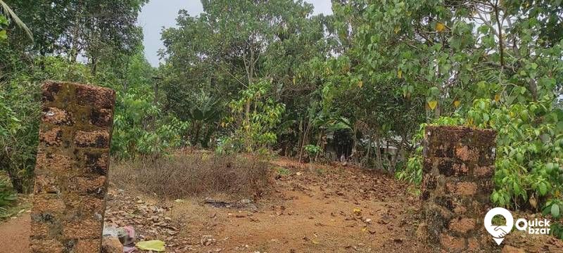plot for sale near pattimattam Eranakulam