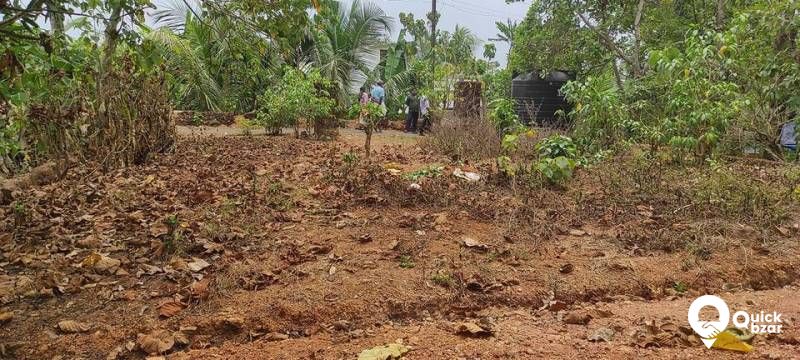 plot for sale near pattimattam Eranakulam