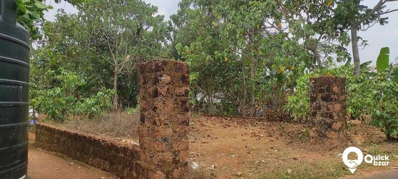plot for sale near pattimattam Eranakulam