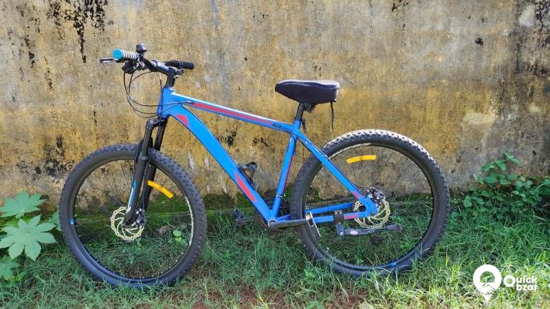 buy cosmic cycles online
