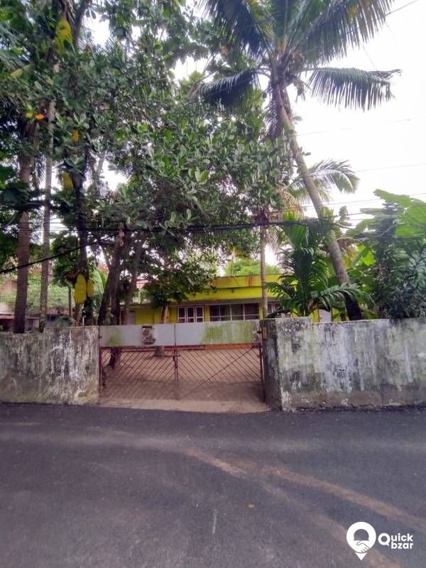 Land and old House for sale