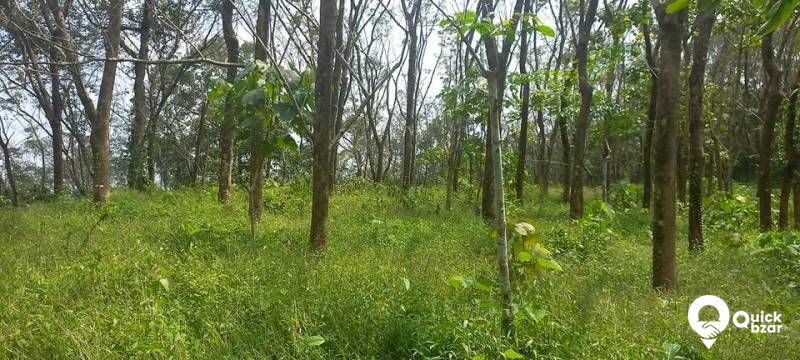 1.5 ഏകർ തോട്ടം വില്പനക്ക്