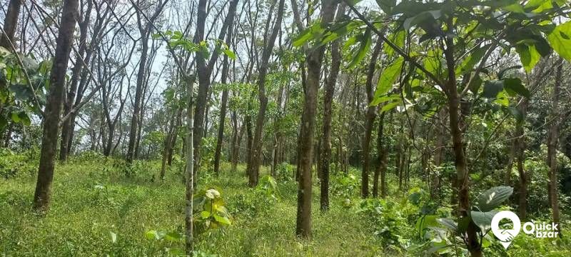1.5 ഏകർ തോട്ടം വില്പനക്ക്