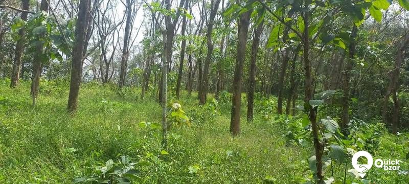 1.5 ഏകർ തോട്ടം വില്പനക്ക്