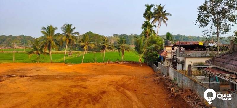 25  സെൻറ്റ്  സ്ഥലം വിൽപ്പനക്ക്