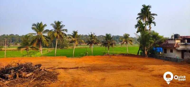 25  സെൻറ്റ്  സ്ഥലം വിൽപ്പനക്ക്