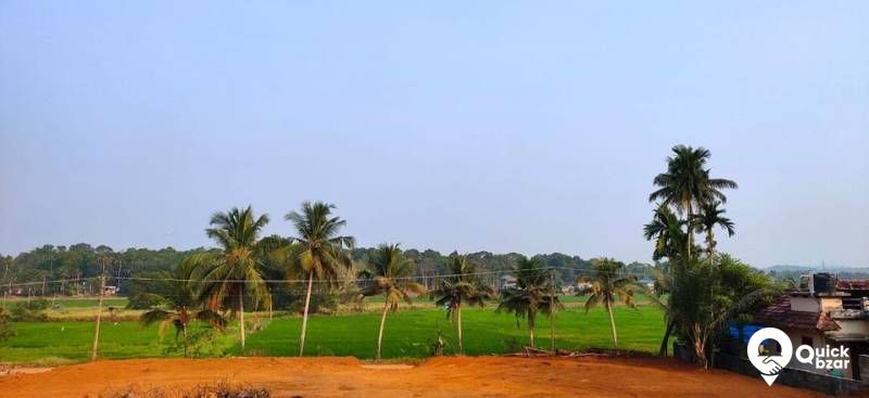 25  സെൻറ്റ്  സ്ഥലം വിൽപ്പനക്ക്