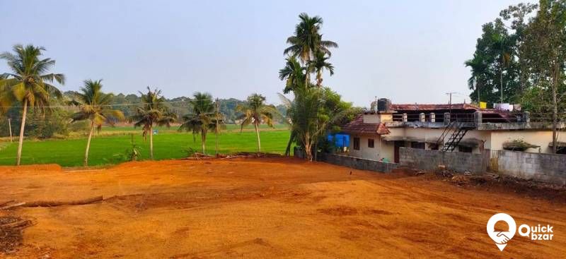 25  സെൻറ്റ്  സ്ഥലം വിൽപ്പനക്ക്