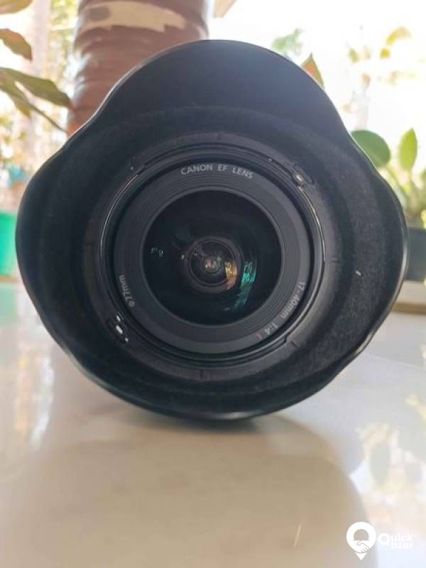 Canon 17-40 lens