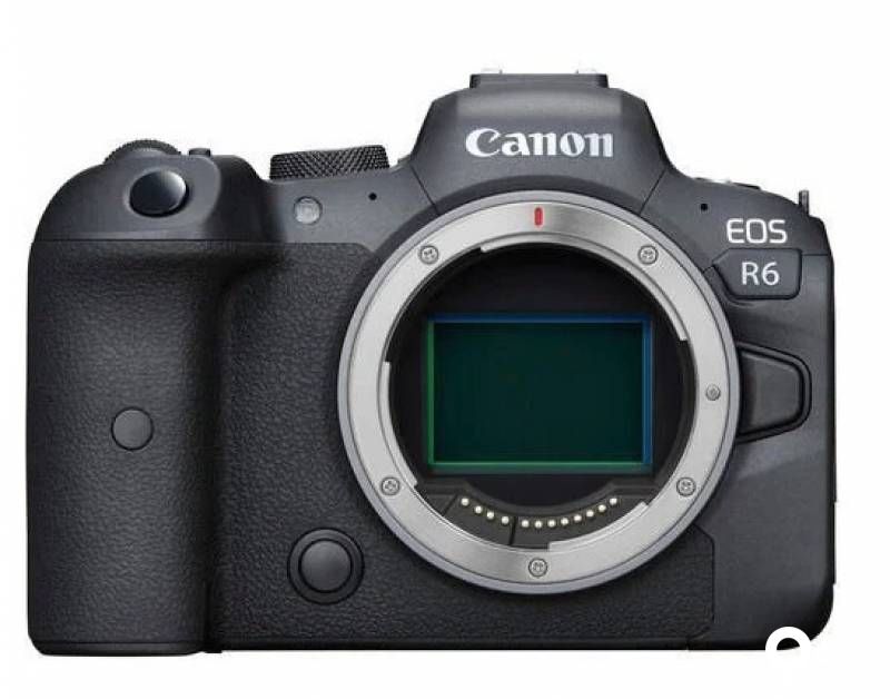 Canon eos R6 body & Canon ef to rf converter