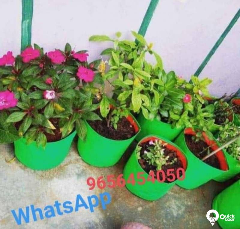 ഗ്രീൻ ഗ്രോ ബാഗുകൾ.... HDPE quality....