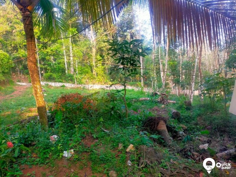 PLOT FOR SALE