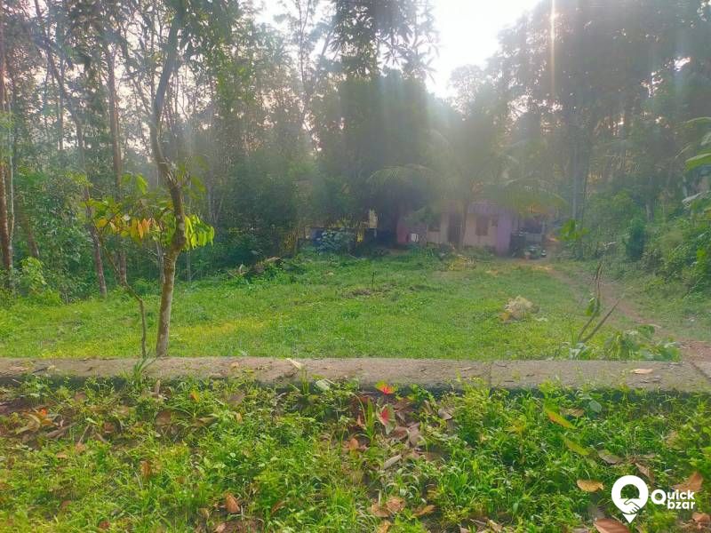 PLOT FOR SALE